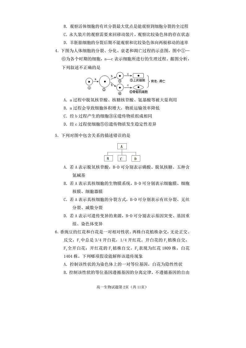 高一生物第2页