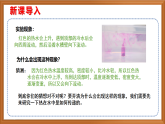 蘇教版小學(xué)科學(xué)五上第二單元《6.熱對流》課件+教案+作業(yè)設(shè)計+視頻素材