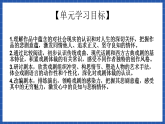 【大單元】第2單元 良知與悲憫 單元課件+單元教案