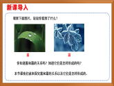 蘇教版小學(xué)科學(xué)五上第四單元《14 露和霜》課件+教案+作業(yè)+視頻素材