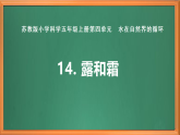 蘇教版小學(xué)科學(xué)五上第四單元《14 露和霜》課件+教案+作業(yè)+視頻素材