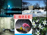 【任务型教学】2025部编初中语文九下3《短诗五首》 课件+教案+导学案（师生版）+同步测试（含答案）