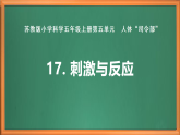 蘇教版小學(xué)科學(xué)五上第五單元《17 刺激與反應(yīng)》課件+教案+專業(yè)+視頻素材