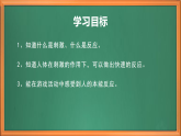 蘇教版小學(xué)科學(xué)五上第五單元《17 刺激與反應(yīng)》課件+教案+專業(yè)+視頻素材