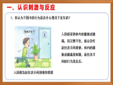 蘇教版小學(xué)科學(xué)五上第五單元《17 刺激與反應(yīng)》課件+教案+專業(yè)+視頻素材