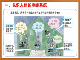 蘇教版小學(xué)科學(xué)五上第五單元《18 從刺激到反應(yīng)》課件+教案+作業(yè)+視頻素材