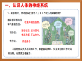 蘇教版小學(xué)科學(xué)五上第五單元《18 從刺激到反應(yīng)》課件+教案+作業(yè)+視頻素材