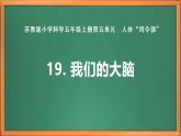 蘇教版小學(xué)科學(xué)五上第五單元《19 我們的大腦》課件+教案+作業(yè)+視頻素材