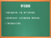 蘇教版小學(xué)科學(xué)五上第五單元《19 我們的大腦》課件+教案+作業(yè)+視頻素材