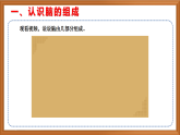 蘇教版小學(xué)科學(xué)五上第五單元《19 我們的大腦》課件+教案+作業(yè)+視頻素材