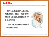 蘇教版小學(xué)科學(xué)五上第五單元《20 大腦的開發(fā)與利用》課件+教案+作業(yè)+視頻素材