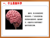 蘇教版小學(xué)科學(xué)五上第五單元《20 大腦的開發(fā)與利用》課件+教案+作業(yè)+視頻素材
