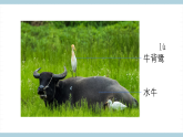 人教版鄂教版四年级科学上册第一单元1.《鸟和哺乳动物》  课件+教案+学案