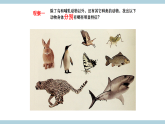 人教版鄂教版四年级科学上册第一单元2.《动物的分类》  课件+教案+学案