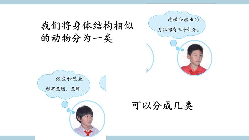 人教版鄂教版四年级科学上册第一单元2.《动物的分类》  课件+教案+学案06