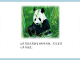 人教版鄂教版四年级科学上册第一单元3.《我国的珍稀动物》 课件+教案+学案