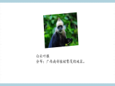 人教版鄂教版四年级科学上册第一单元3.《我国的珍稀动物》 课件+教案+学案