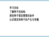 人教版鄂教版四年级科学上册第二单元4《.用种子繁殖》课件+教案+学案