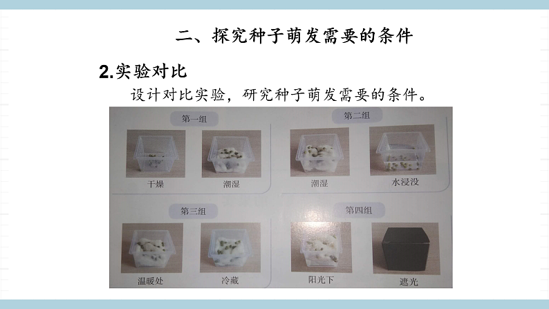 人教版鄂教版四年级科学上册第二单元4《.用种子繁殖》课件+教案+学案07