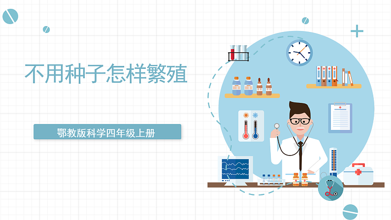 鄂教版四年级科学上册 第五课   《不用种子怎样繁殖 》  ppt课件第1页