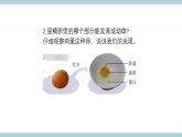 人教版鄂教版四年级科学上册第二单元6.《动物的繁殖》课件+教案+学案