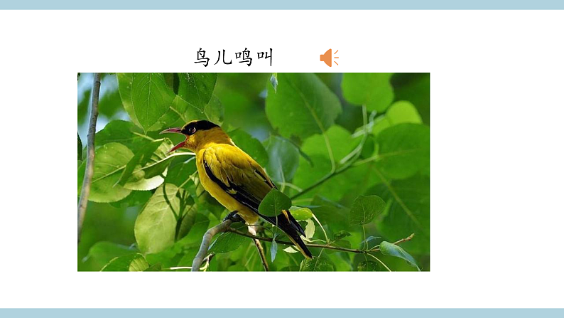 人教版鄂教版四年级科学上册第五单元13.《声音的产生 》课件+教案+学案08