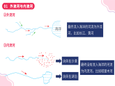 2.3数以万计的河流（课件+同步训练）