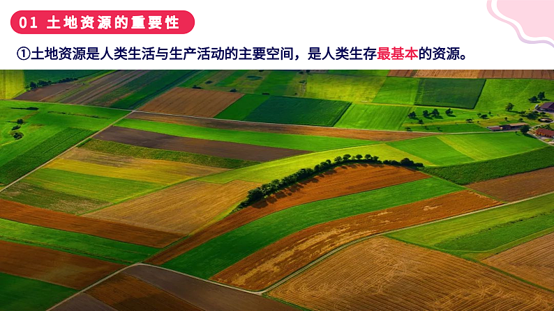 3.2+有限的耕地资源（课件）-2023-2024学年八年级地理上册同步精品课堂（晋教版）第4页