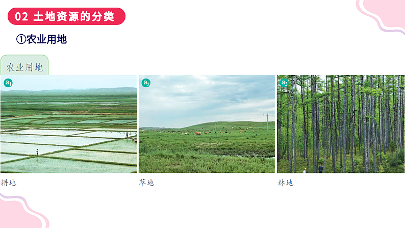 3.2+有限的耕地资源（课件）-2023-2024学年八年级地理上册同步精品课堂（晋教版）第6页