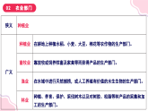 4.1稳步增长的农业（课件+同步训练）