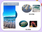 8.1.2海水資源的開發(fā)利用  課件+分層作業(yè)（原卷+解析卷）