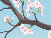 【任務(wù)型教學(xué)】統(tǒng)編語(yǔ)文八下第一單元寫(xiě)作《學(xué)習(xí)仿寫(xiě)》（課件+教案+素材））