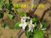 【任務(wù)型教學(xué)】統(tǒng)編語(yǔ)文八下第一單元寫(xiě)作《學(xué)習(xí)仿寫(xiě)》（課件+教案+素材））