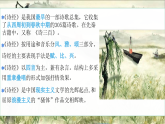 部編版高中語文選擇性必修下冊(cè)《氓》課件+同步練習(xí)
