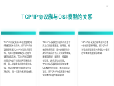 第8课 认识TCP_IP-课件-2023-2024学年浙教版（2023）七年级上册同步教学