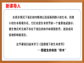 蘇教版小學(xué)科學(xué)五年級下冊《1.搭建生命體的“積木”》課件+教案+視頻+作業(yè)（全套）