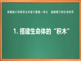 蘇教版小學(xué)科學(xué)五年級下冊《1.搭建生命體的“積木”》課件+教案+視頻+作業(yè)（全套）