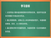 蘇教版小學(xué)科學(xué)五年級下冊《1.搭建生命體的“積木”》課件+教案+視頻+作業(yè)（全套）