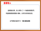 苏教版小学科学五年级下册《2.微小的生命体》课件+教案+视频+作业（全套）