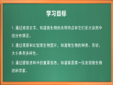苏教版小学科学五年级下册《2.微小的生命体》课件+教案+视频+作业（全套）