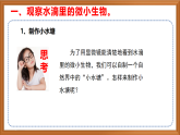 苏教版小学科学五年级下册《2.微小的生命体》课件+教案+视频+作业（全套）