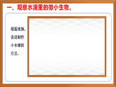 苏教版小学科学五年级下册《2.微小的生命体》课件+教案+视频+作业（全套）
