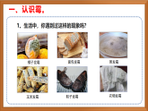 蘇教版小學(xué)科學(xué)五年級下冊《3.發(fā)霉與防霉》課件+教案+視頻+作業(yè)（全套）