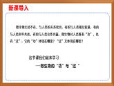蘇教版小學(xué)科學(xué)五年級下冊《4.微生物的“功”與“過”》課件+教案+視頻+作業(yè)（全套）