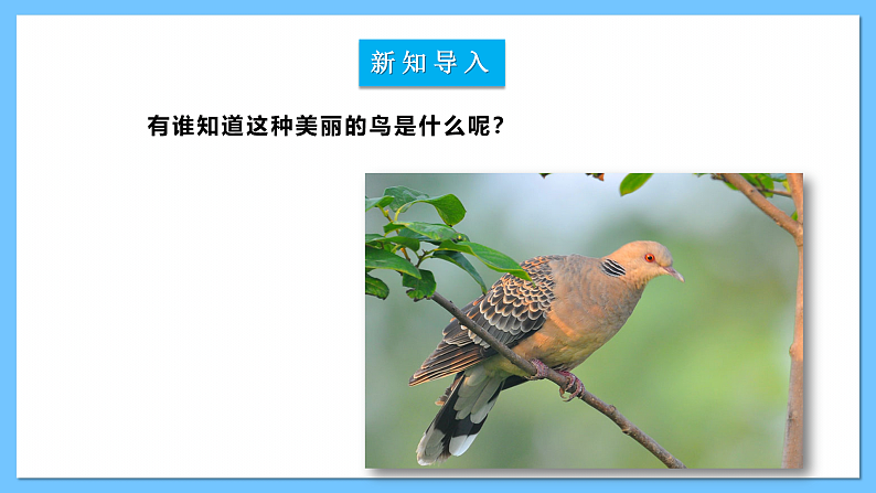 【核心素养】人教版七下4.3《斑鸠调》《赛龙夺锦》《赤兔嘶风》课件+教案+素材03