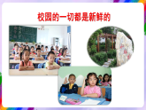 【核心素養(yǎng)】人美版美術(shù)六年級下冊14《留給母校的紀(jì)念》課件+教案+素材