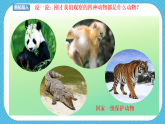 人教版美術(shù)三年級(jí)下冊(cè)第十九課《保護(hù)珍稀野生動(dòng)物》課件