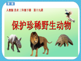 人教版美術(shù)三年級(jí)下冊(cè)第十九課《保護(hù)珍稀野生動(dòng)物》課件