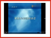 华师大版科学八年级下册7.1《动物的行为》课件+素材