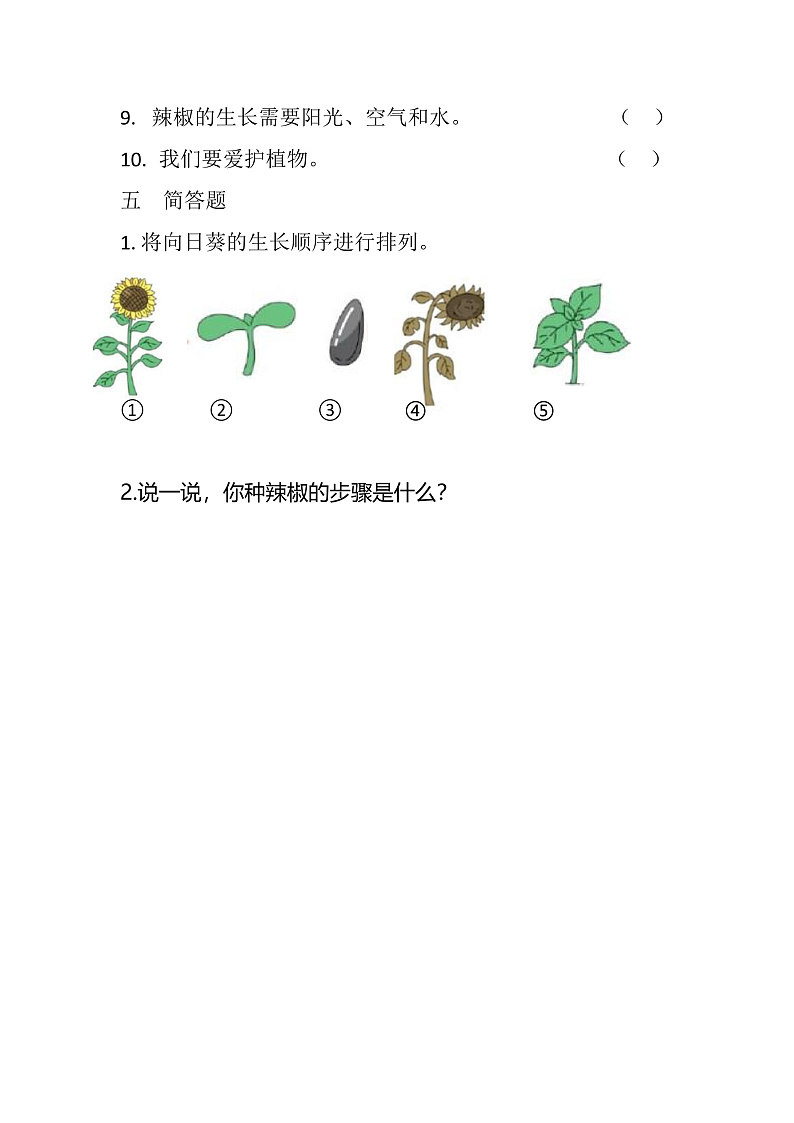 青岛版科学四年级下册4.13《种辣椒》课件+教案+练习（含答案）+素材03